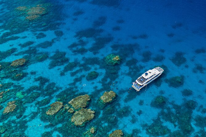 Silverswift Dive and Snorkel Great Barrier Reef Cruise - At a glance: what makes this reef day useful