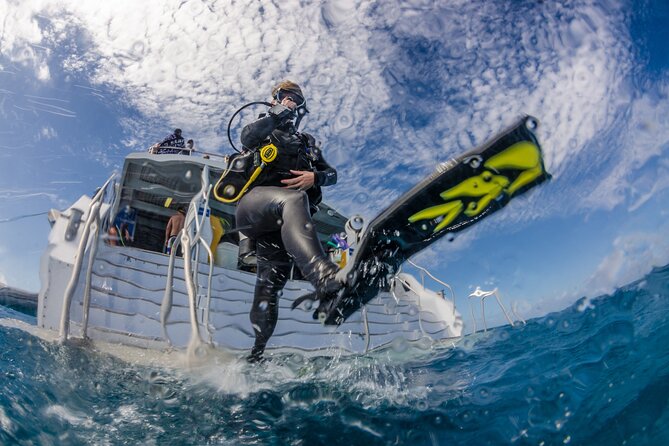 Silverswift Dive and Snorkel Great Barrier Reef Cruise - Introductory scuba for first-timers