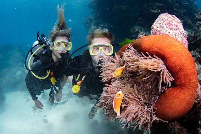 Silverswift Dive and Snorkel Great Barrier Reef Cruise - Certified scuba for experienced participants