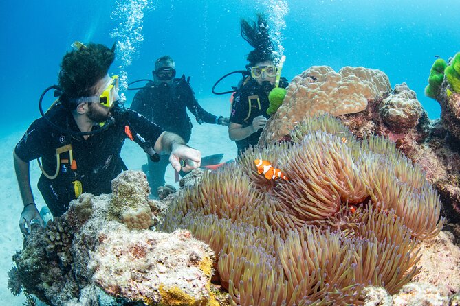 Silverswift Dive and Snorkel Great Barrier Reef Cruise - Leaving Cairns aboard Silverswift