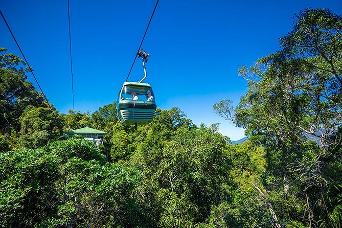 Skyrail Rainforest Cableway Day Trip from Cairns - Why Skyrail and Kuranda make a strong Cairns day