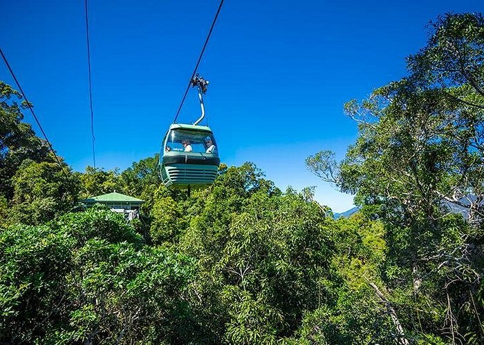 Skyrail Rainforest Cableway Day Trip from Cairns - Choosing among Kuranda’s wildlife attractions