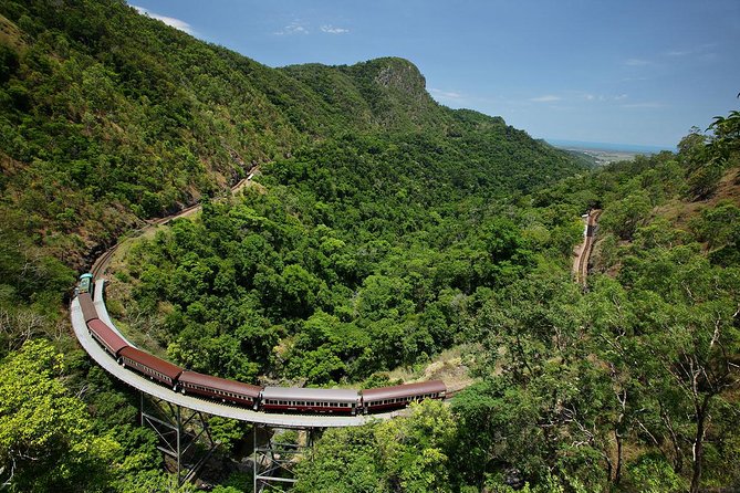 Skyrail Rainforest Cableway Day Trip from Port Douglas - Should you book the Skyrail and railway combination?