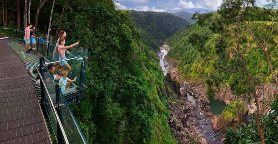 Skyrail Rainforest Cableway Round-Trip Experience - Key points to know before you go