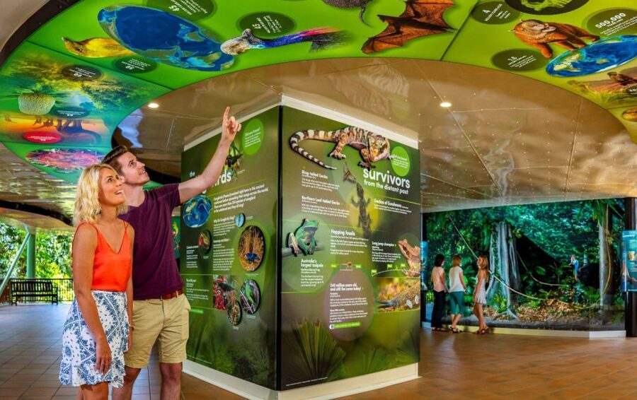 Skyrail Rainforest Cableway Round-Trip Experience - How to plan your four hours