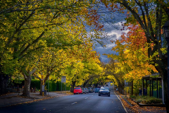 Small Group Adelaide Hills and Hahndorf Hideaway Tour from Adelaide - Hahndorf lunch is filling, then the village opens up