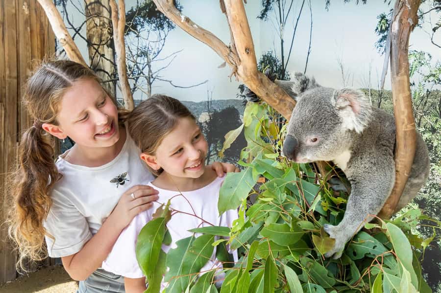 Small Group Blue Mountains, Wildlife & Scenic World Day Tour - A full day from Sydney to the Blue Mountains