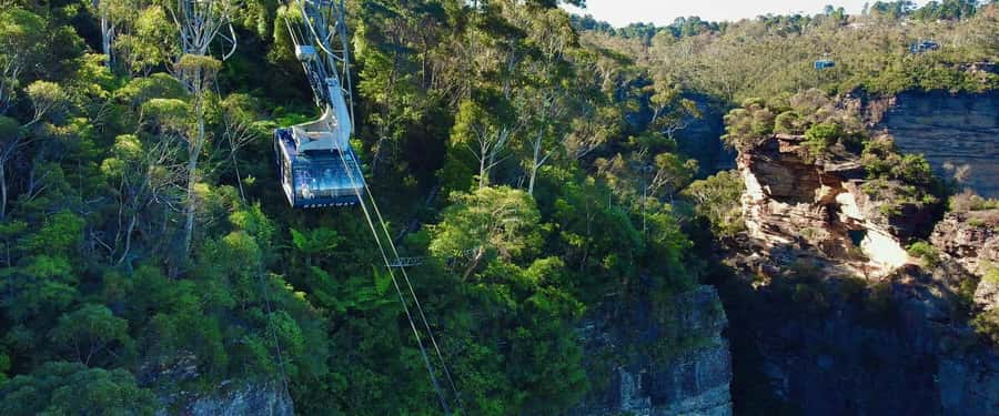 Small Group Blue Mountains, Wildlife & Scenic World Day Tour - Guides, coaches, and the practical feel of the day
