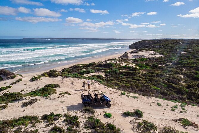 Small-Group Buggy Tour at Little Sahara with Guide - Key points before you book