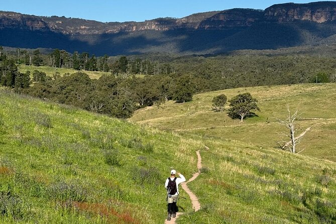 Small Group Hunter Valley Wine Tour + Lunch, Gin & Choc ex Sydney - Guides make or break a full-day outing