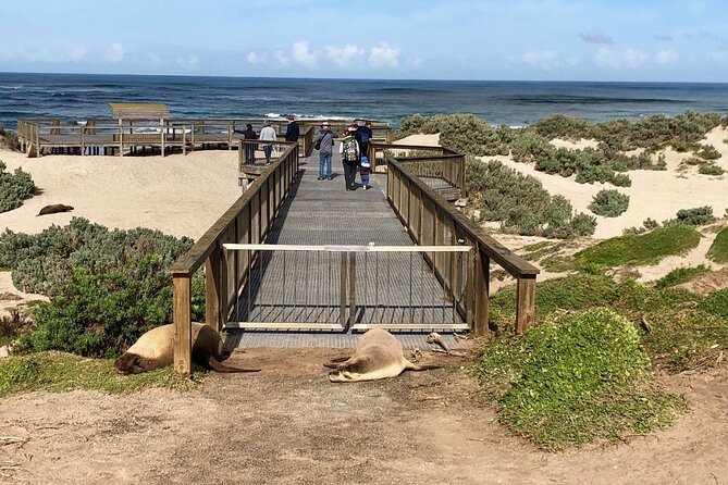 Small Group Kangaroo Island Tour - Best of KI - Why this Kangaroo Island day works so well