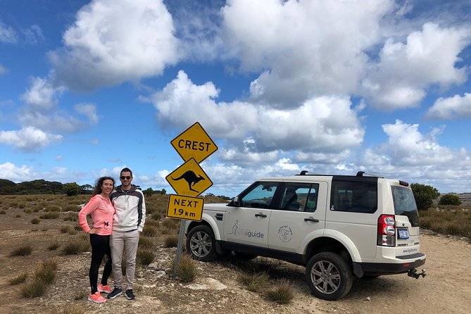 Small Group Kangaroo Island Tour - Best of KI - Seal Bay and the sea lions