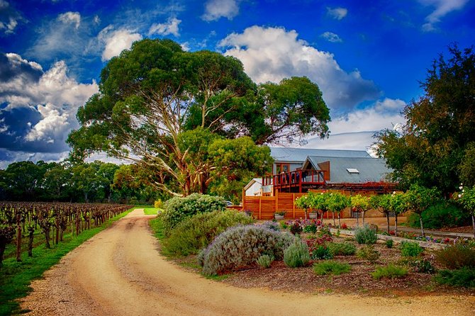 Small-Group River Murray Dark Sky and Sunset Tour with Dinner - Weather, timing, and what to bring