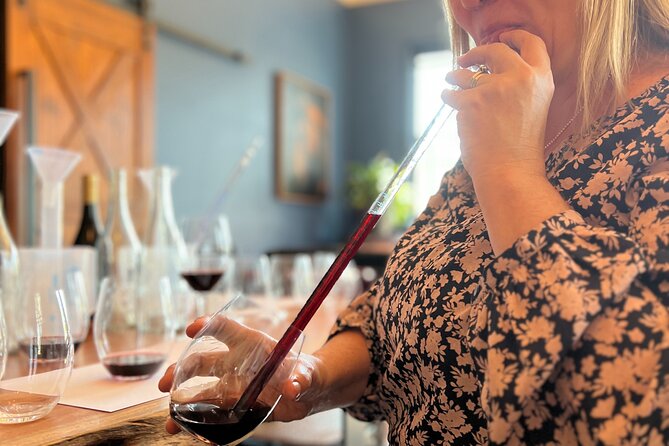 Snapshot Half Day Hunter Valley Wine Tour - Who should book it?