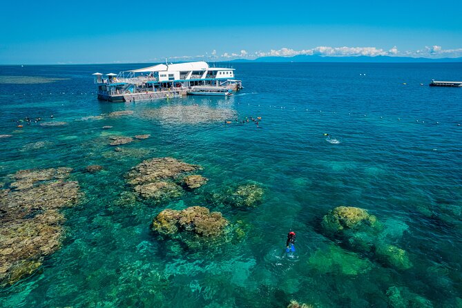 Snorkel & Dive the Reef: Sustainable, Scientific & Cultural Tour - From Cairns to the Marine World platform
