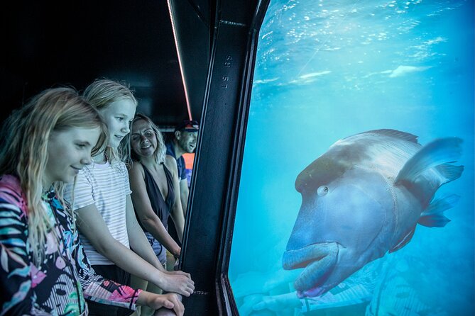 Snorkel & Dive the Reef: Sustainable, Scientific & Cultural Tour - Lunch, drinks, and the price of the day