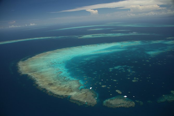 Snorkel & Dive the Reef: Sustainable, Scientific & Cultural Tour - Crowds, timing, and the feel of the operation