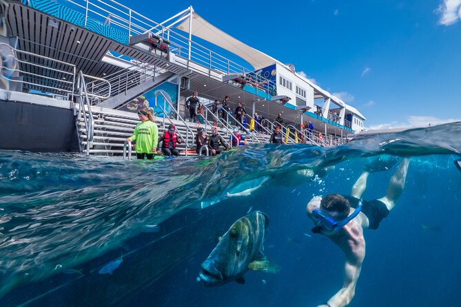 Snorkel & Dive the Reef: Sustainable, Scientific & Cultural Tour - Snorkeling in the sheltered coral lagoon