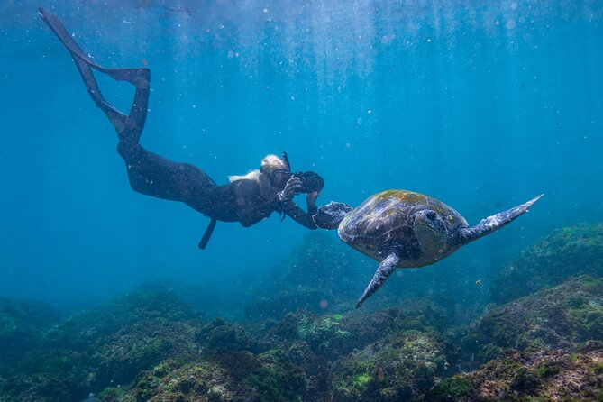 Snorkel with Turtles Gold Coast - What the small boat changes