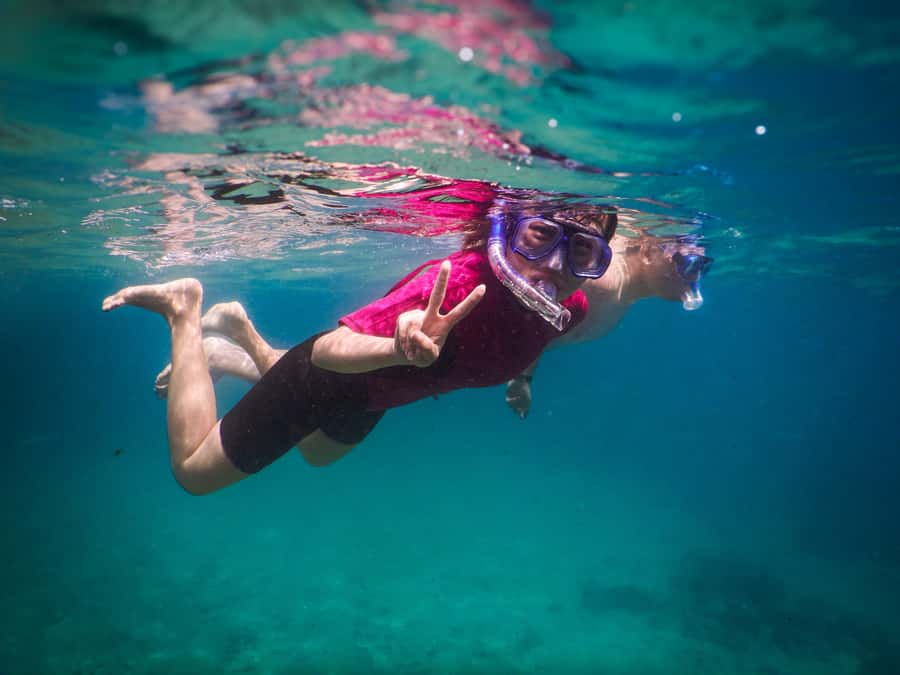 Snorkeling Tour: Discover Sydney’s impressive sea life - Who should book this Sydney snorkel