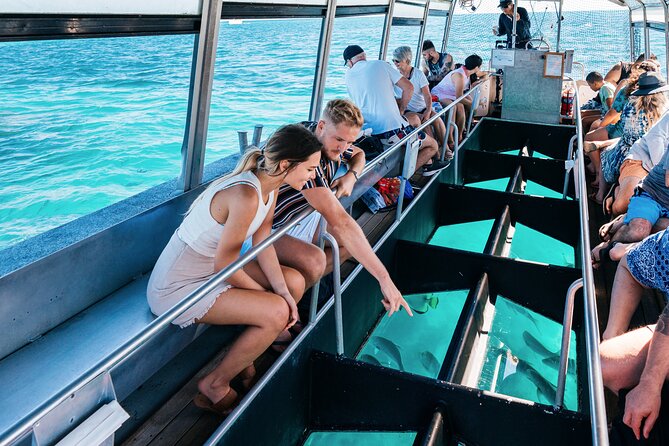 Snorkelling and Glass Bottom Boat at Green Island from Cairns - Why Green Island is different from a standard reef trip