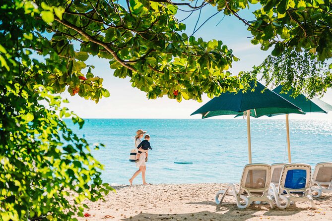 Snorkelling and Glass Bottom Boat at Green Island from Cairns - What the glass-bottom boat adds