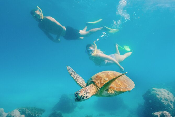 Snorkelling and Glass Bottom Boat at Green Island from Cairns - Who should book this Green Island outing?