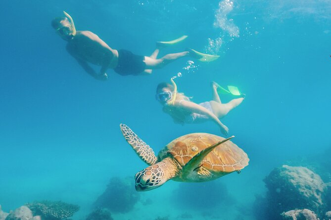 Snorkelling or Glass Bottom Boat at Green Island from Cairns - Key points to know before you go