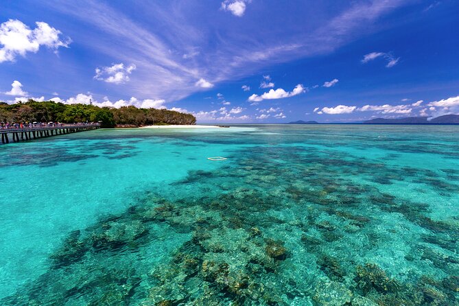 Snorkelling or Glass Bottom Boat at Green Island from Cairns - Pool, rainforest, and a full day at your own pace