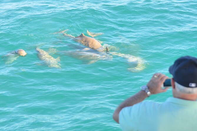 Snubfin Dolphin Eco Cruise from Broome - The boom net swim, when nature allows