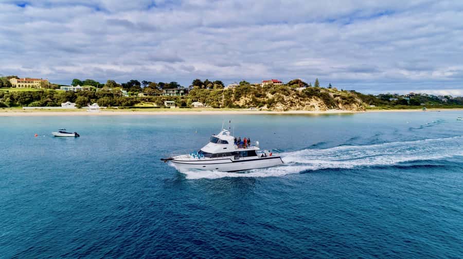 Sorrento: Dolphins & Seals Snorkeling Cruise w/ Lunch - Should you book the Moonraker dolphin and seal cruise?