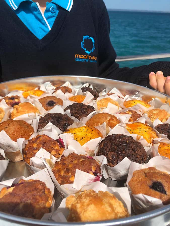 Sorrento,Mornington Peninsula: Wildlife & Sightseeing Cruise - Should you book the Sorrento wildlife cruise?