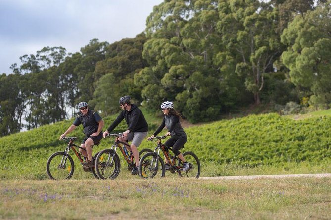 Southern Barossa: 10-Minute Helicopter Flight - Practical details that affect your decision