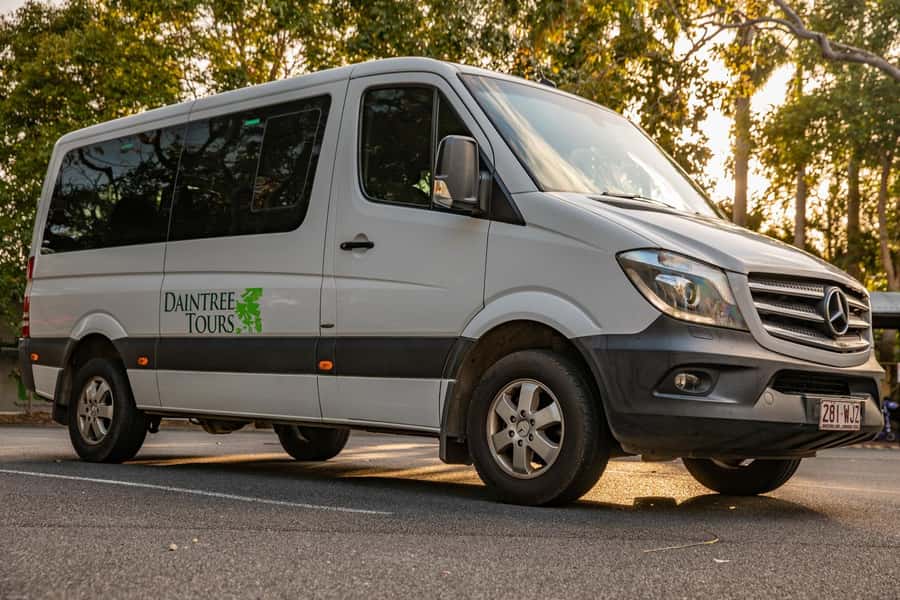 Southern Daintree Explorer Tour - Half Day - Why this half-day format works