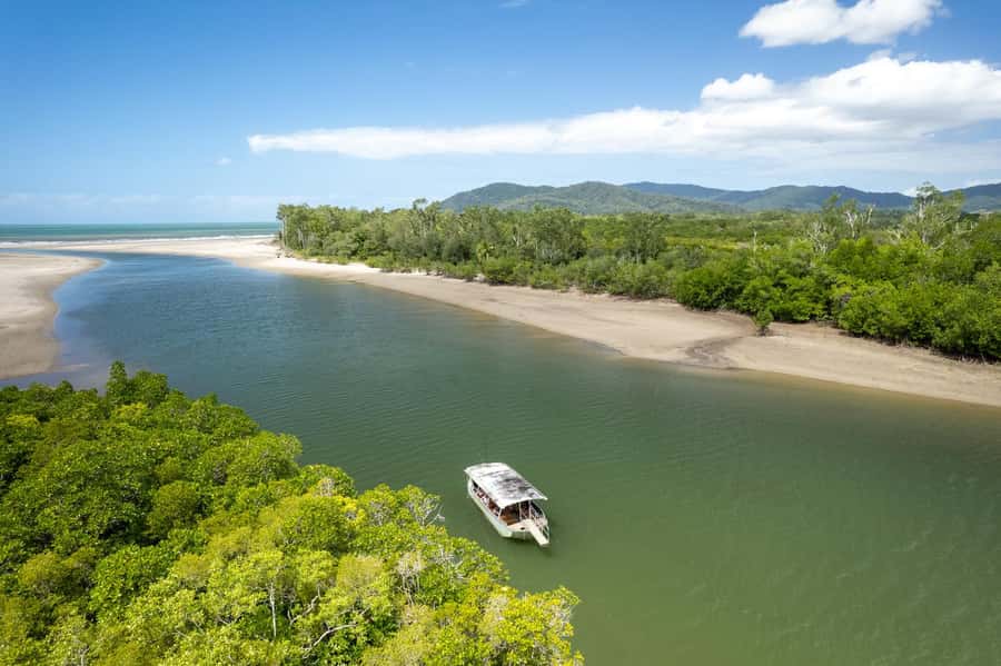 Southern Daintree Explorer Tour - Half Day - The optional Wildlife Habitat entry