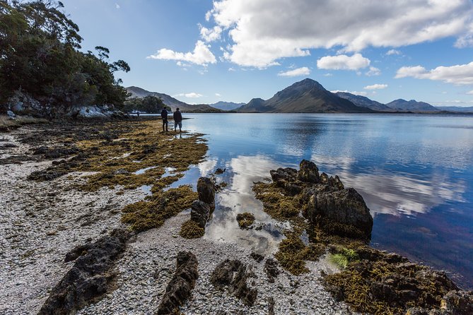 Southwest Tasmania Wilderness Experience: Fly Cruise and Walk Including Lunch - What a full day actually feels like