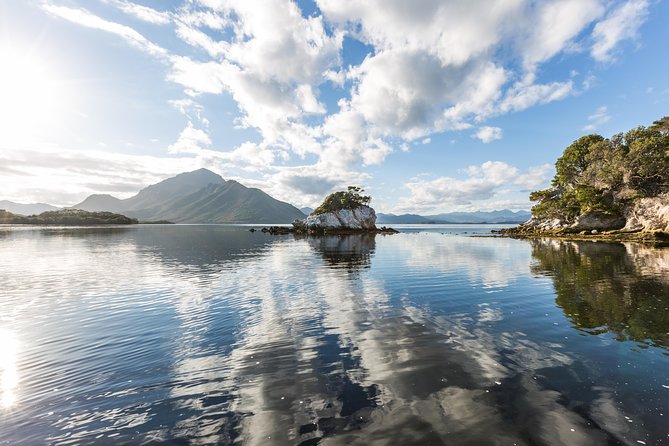 Southwest Tasmania Wilderness Experience: Fly Cruise and Walk Including Lunch - Practical advice for a smoother day