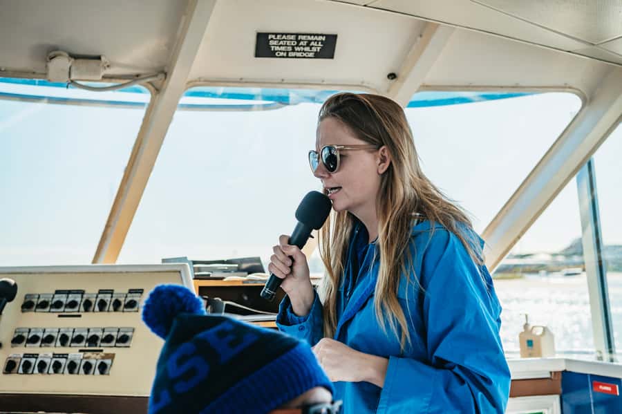 Spirit of Gold Coast 2.5-Hour Whale Watching Tour - Should you book Spirit of Gold Coast?