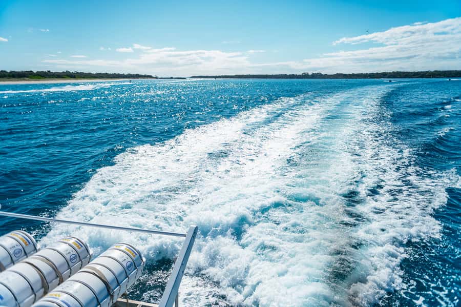 Spirit of Gold Coast 2.5-Hour Whale Watching Tour - Who will enjoy this trip most?