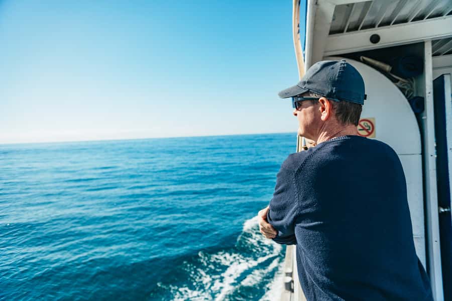 Spirit of Gold Coast 2.5-Hour Whale Watching Tour - A purpose-built catamaran with room to move