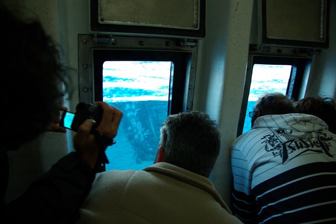 Spirit of Hervey Bay Whale Watching Cruise - Who will enjoy this cruise most