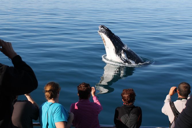 Spirit of Hervey Bay Whale Watching Cruise - Is the Spirit of Hervey Bay worth booking?