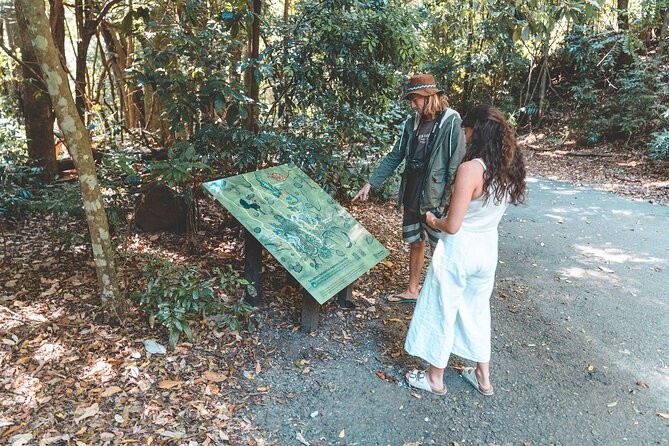 Springbrook andTamborine Rainforest Tour Incl Natural Bridge and Glow Worm Cave - The drive through Numinbah Valley