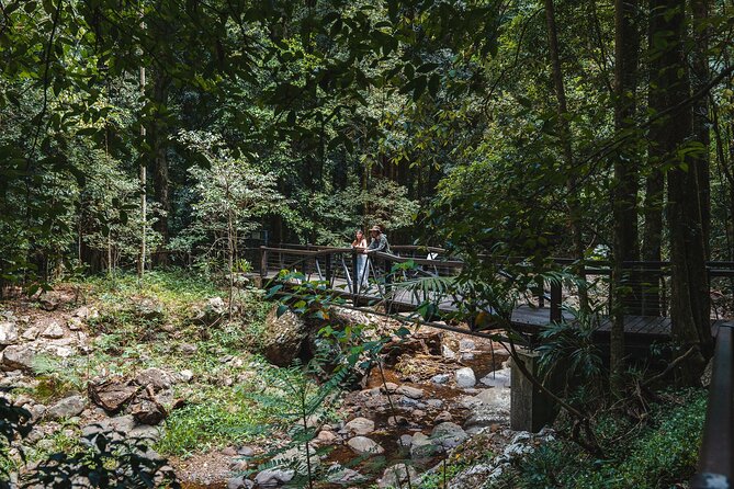 Springbrook andTamborine Rainforest Tour Incl Natural Bridge and Glow Worm Cave - Cedar Creek Glow Worm Caves in daylight