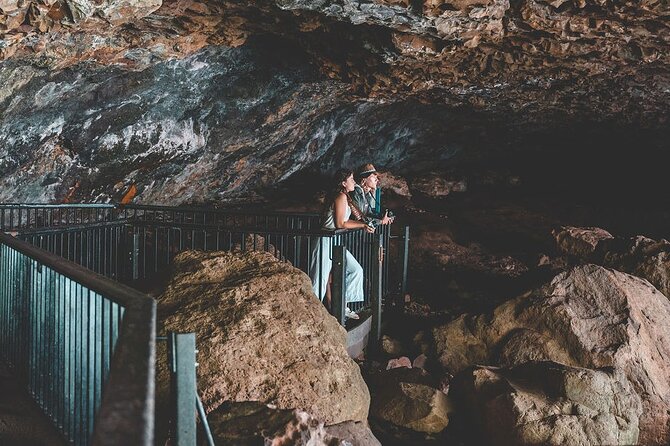 Springbrook andTamborine Rainforest Tour Incl Natural Bridge and Glow Worm Cave - Tamborine Mountain, Gallery Walk, and the western lookout