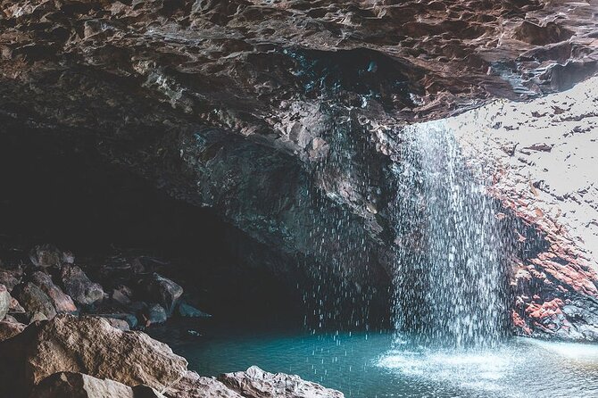 Springbrook andTamborine Rainforest Tour Incl Natural Bridge and Glow Worm Cave - Hinze Dam and the chance of wildlife