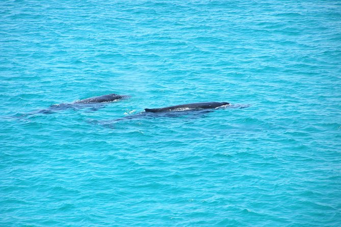 Stradbroke Island 4WD Day Trip from Brisbane - Why this Stradbroke Island trip feels different