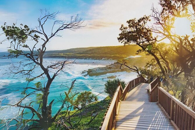 Stradbroke Island Eco Day Trip from Brisbane – Wildlife & Beaches - Why Stradbroke Island makes a strong Brisbane day trip