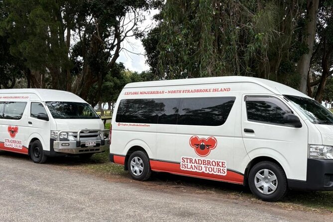 Stradbroke Island Eco Day Trip from Brisbane – Wildlife & Beaches - Amity Point is your best koala search