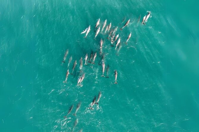 Stradbroke Island Eco Day Trip from Brisbane – Wildlife & Beaches - North Gorge Walk brings cliffs and wildlife together